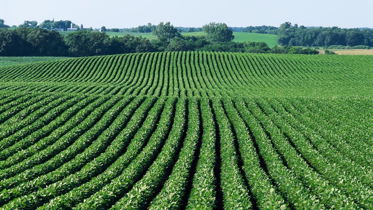 Agriculture and Food Security